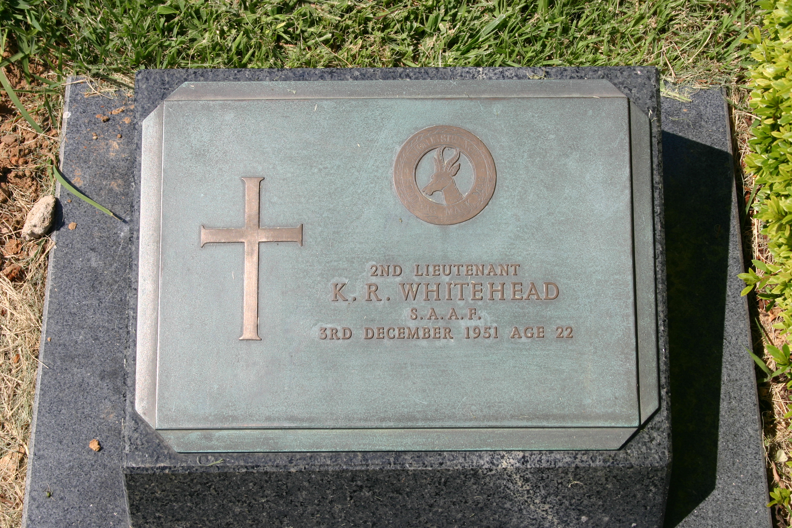 Photo from /search/photos/South Korea/whitehead_kr.JPG